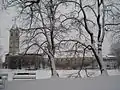 Winter im Park