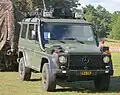 Wolf der schwedischen Armee