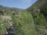 Der Fluss Pescia di Collodi (auch Pescia minore genannt)