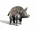 Schweinchenfigur; Fundort Titelberg (1. Jh. v. Chr. – 1. Jh. n. Chr.)