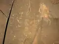 Petroglyphen