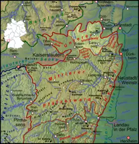 Stumpfwald (hell) innerhalb des Pfälzerwalds