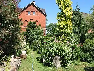 Juni 2003