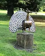 Pfau