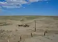 Pferde am Nordrand der Gobi