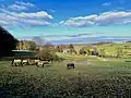 Pferde weiden bei Finkensiepen