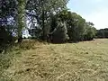 Geschwungener Lauf