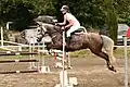 Französisches Reitpony beim Springreiten
