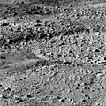 Eines der ersten Bilder der Marsoberfläche von Phoenix