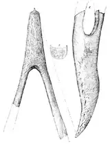 Der erste von Ameghino beschriebene Fossilfund von Phorusrhacos