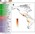 Phylogenetik und Verteilung von Haplogruppe C (mtDNA)1b: Sichtbar sind zwei extreme Verbreitungsschwerpunkte der Haplogruppe; eines in Mexiko und das andere in Peru.