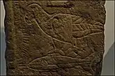 Adler und Fisch