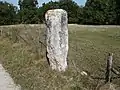 Megalith Pierre Plantée de Lascoux