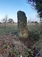 Menhir Pierre au Bordeu