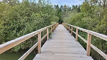 Pionierbrücke über die Aalbek, September 2023