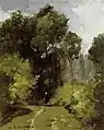 Sous-bois