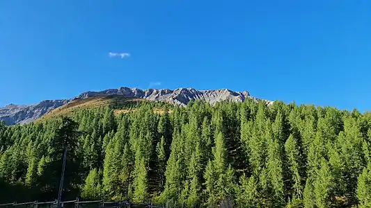 Blick von der Alp d’Arpiglia hoch zum Piz Mezzaun