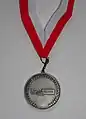 Plakette Flut 2013, Vorderseite