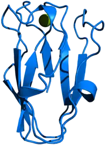 Plastocyanin (Spinacia oleracea)