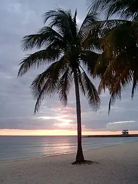 Sonnenuntergang am Strand von P.G.