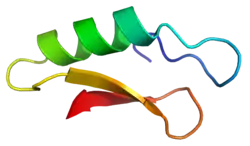 Plectasin (Pseudoplectania nigrella)