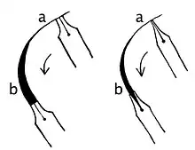 Variation der Strichstärke mit einer Breitfeder und einer Schwellzugfeder