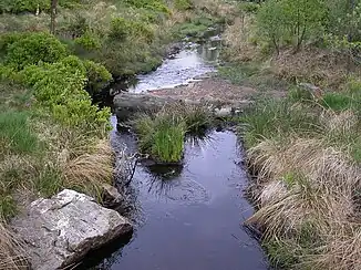 Polleurbach