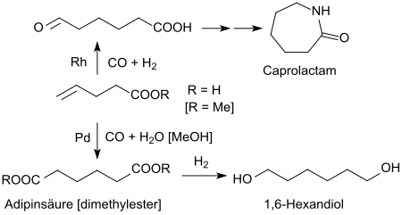 Polymerbausteine aus Pentensäuren