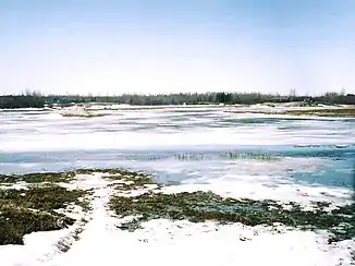 Pimachiowin Aki