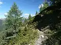 Der Karnische Höhenweg, nahe der Porzehütte
