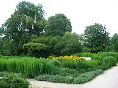 Staudenpflanzung