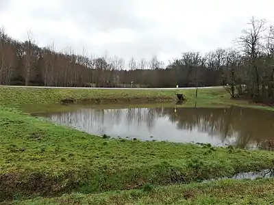 Frühjahrsüberschwemmung am Pré Pinson oberhalb der D&nbsp;939