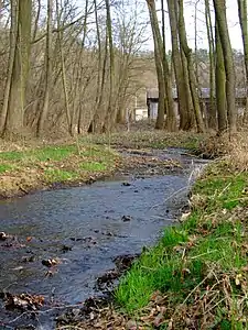 Libušský potok im unteren Abschnitt der Schlucht
