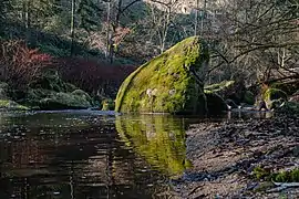 Felsnase in der Feldaist