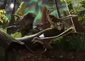 Fauna der Prince Creek Formation (2020)