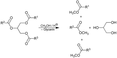 Umesterung zur Synthese von RME + Glycerin