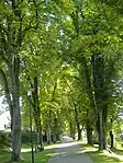 Promenade, die „grüne Lunge“ der Stadt