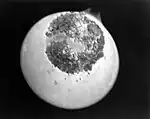 91Protactinium