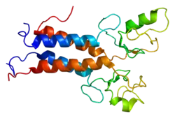 BRCA1