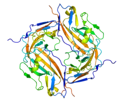 Leukozyten-Oberflächenantigen CD47