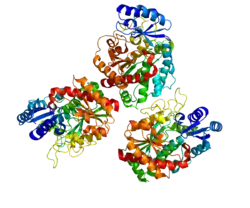 Carboxypeptidase B2