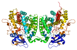 Cytochrom P450 2R1