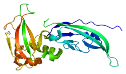 Dystroglycan