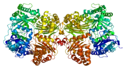 Insulysin