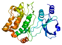 Serin/Threonin-Proteinkinase PAK 6