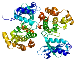 Serin/Threonin-Proteinkinase PAK 5