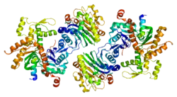 zweites Mitglied der Wiskott-Aldrich-Syndrom-Proteine