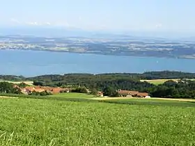 Blick über Provence auf den Neuenburgersee