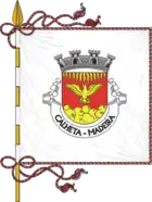 Flagge des Concelhos Madeira