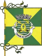 Flagge von Espinho